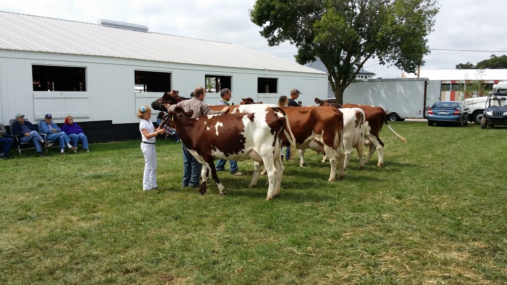 2023 Whiteside County Fair