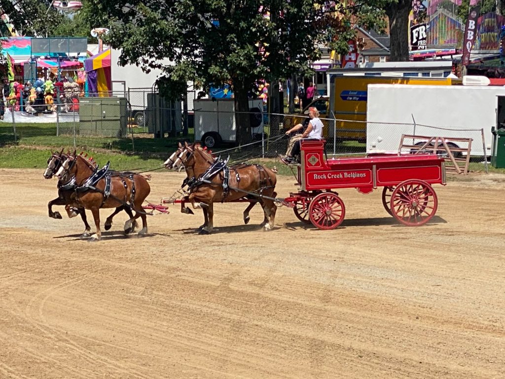 2024 Whiteside County Fair